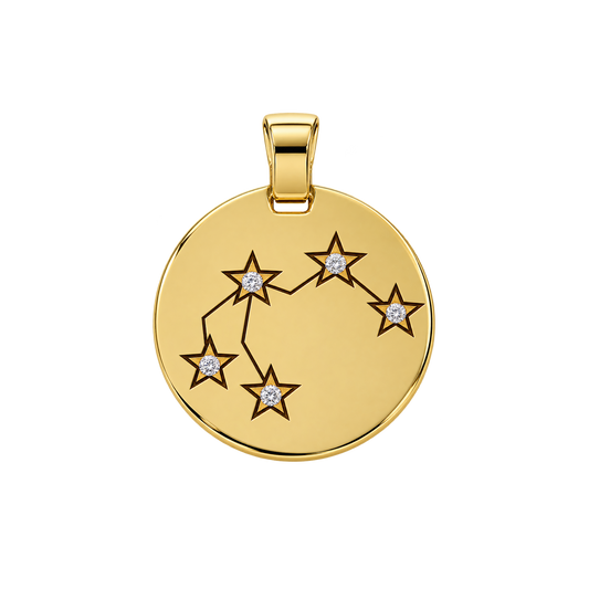 Written in the Stars Zodiac Pendant